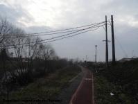 Imagine atasata: Bega - 2016.01.29 - 09.jpg
